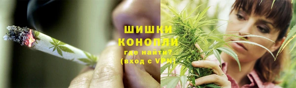 спиды Горно-Алтайск