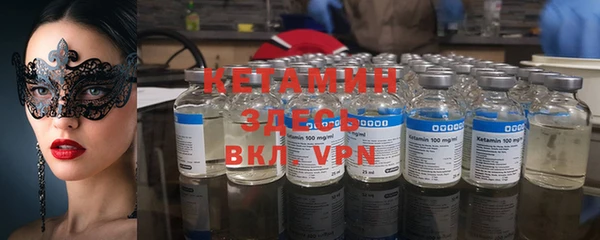 стаф Волосово