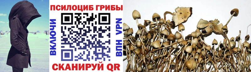 Галлюциногенные грибы MAGIC MUSHROOMS  Зеленодольск 